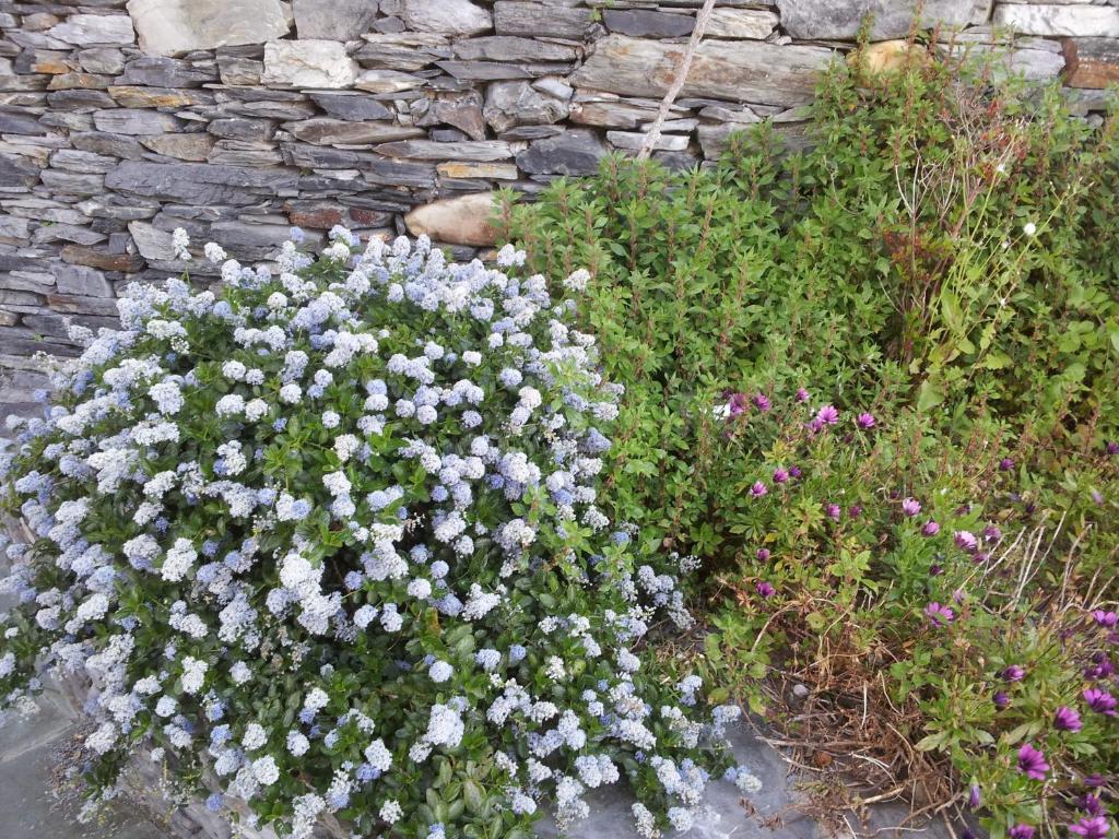 Casona El Gurugu Ξενοδοχείο Luarca Εξωτερικό φωτογραφία
