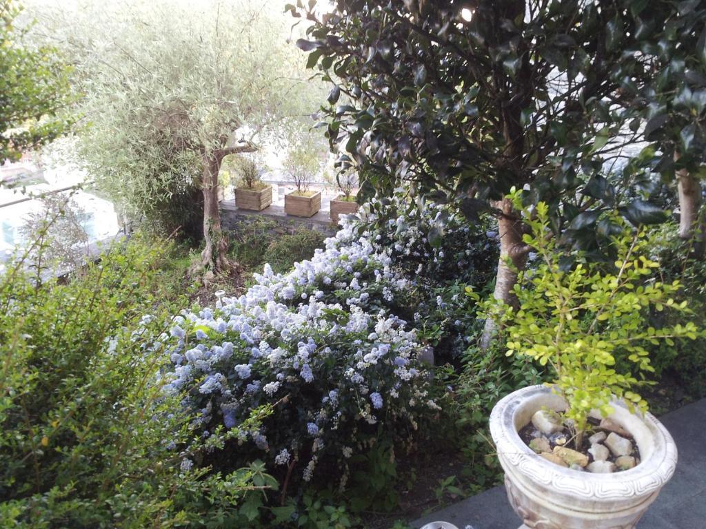 Casona El Gurugu Ξενοδοχείο Luarca Εξωτερικό φωτογραφία